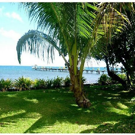 Bonjouir Lodge Paradise Teahupoo Dış mekan fotoğraf