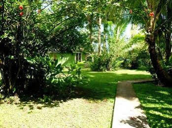 Bonjouir Lodge Paradise Teahupoo Dış mekan fotoğraf